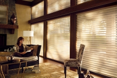 Alustra Silhouette Shades Living RoomL