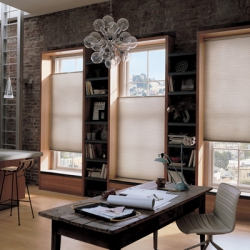 Cellular-Shades-Duette-Honeycomb-Shades-by-